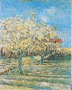 Vincent Van Gogh Flowering orchard Sweden oil painting artist